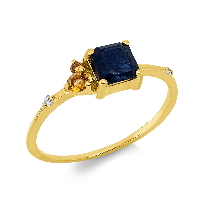 Farbstein Classic Ring Gelbgold 18kt 0,02ct