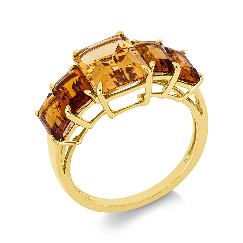 Farbstein Classic Ring Gelbgold 18kt