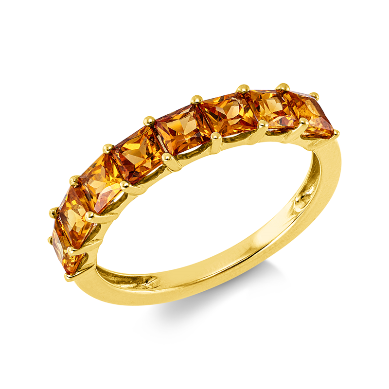 Farbstein Classic Ring Gelbgold 18kt